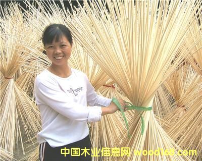 ���z�S��Ԕ����B