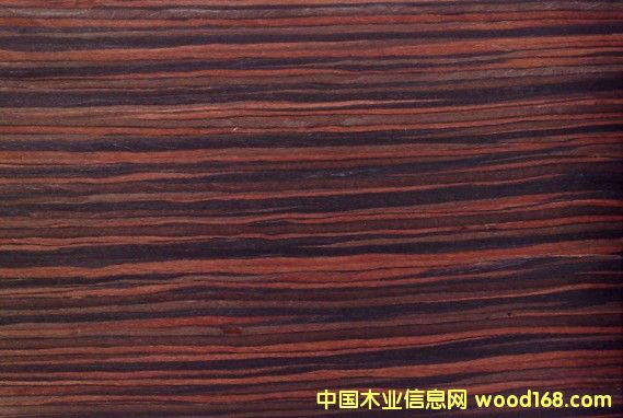 ����ľ���ľƤ��Ԕ��(x��)��B