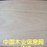 ��ľľƤ��Ԕ��(x��)��B