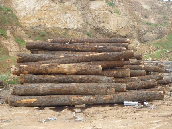 �����Ԕ����B