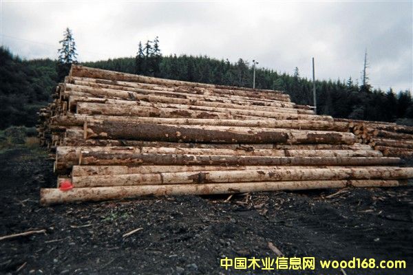 ������ɼ��Ԕ��(x��)��B