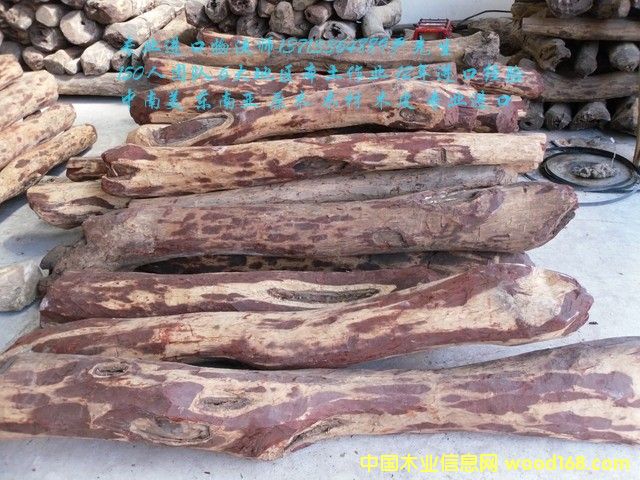 ̫�}���M���R�_��˹���S̴/�Fľ��/��̴�M�ڈ��P(gu��n)