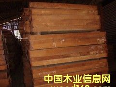 �M(j��n)�ڰ��