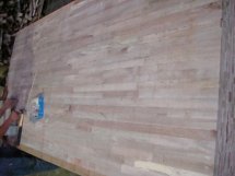 ����(y��ng)��(y��u)�|(zh��)�t����(x��)ľ��о���Ԕ��(x��)��B