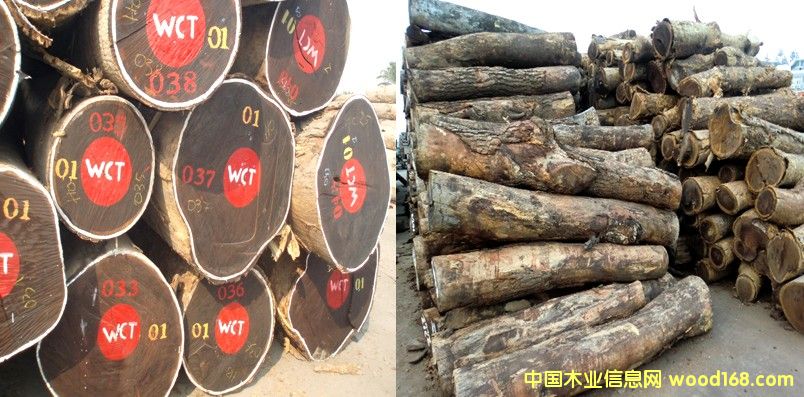 �u���Ԕ����B