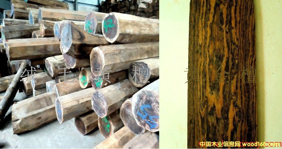 �që�S̴ �S��̴��Ԕ����B