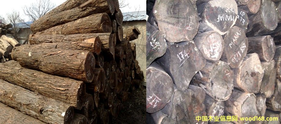 �t�F�� ���F����Ԕ����B