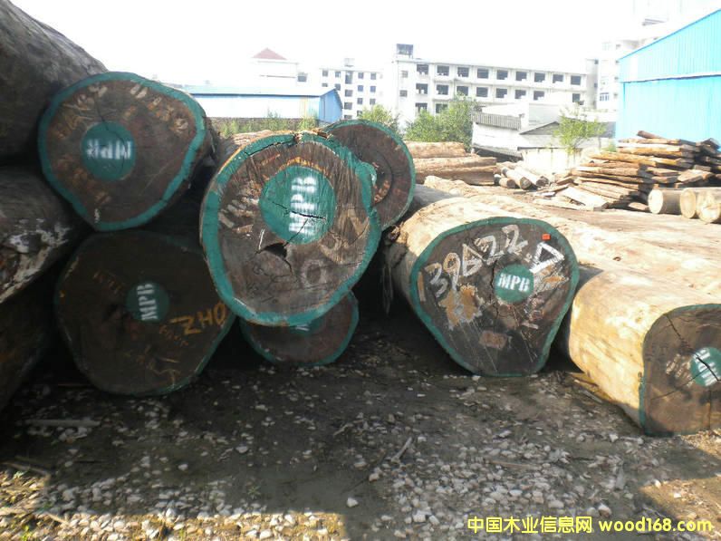 �t�����µ���Ԕ����B