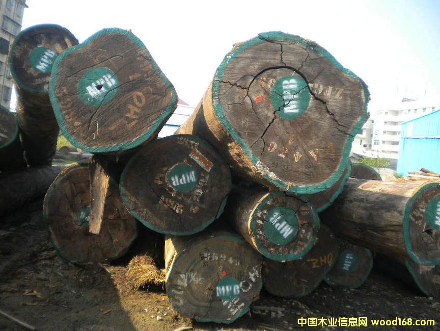 �¼t�����Ԕ����B