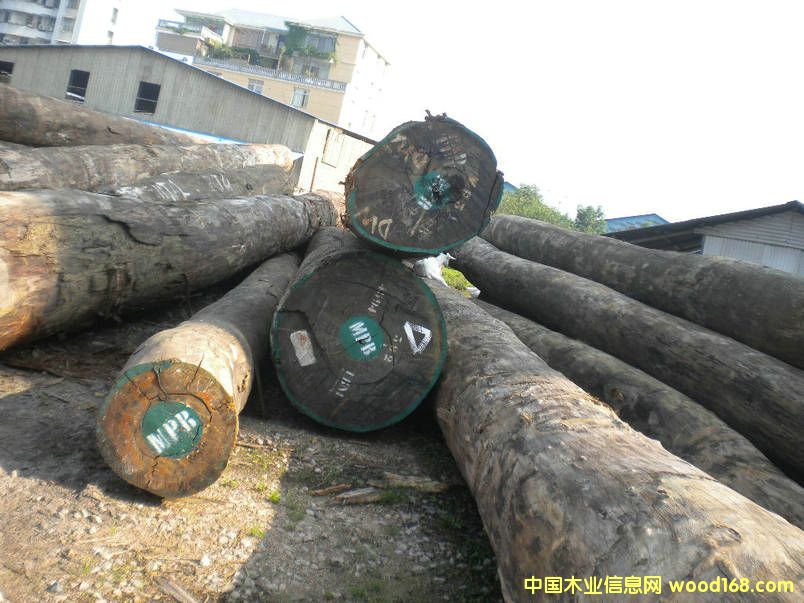 �����µ�Ԕ����B