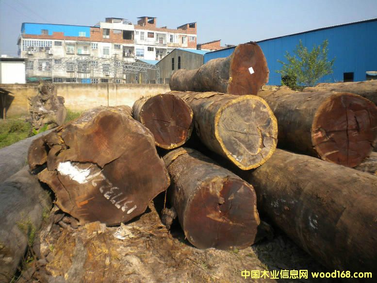 ���_���µ���Ԕ����B