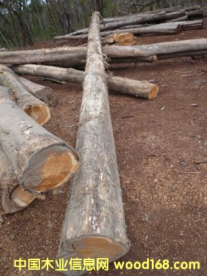 ��ľԭľ��Ԕ����B