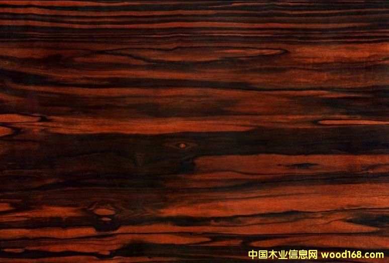 �{ɫ�l(w��i)�����������(y��u)�|��̴�ذ�