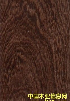 �{ɫ�l(w��i)���������(y��ng)��(y��u)�|(zh��)�u��ľ�ذ����gӭ���ӆُ