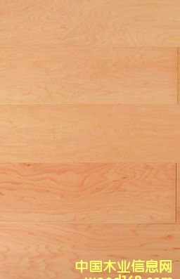 �؃r(ji��)��������(y��ng)��(y��u)�|(zh��)�ӗ����ӌ�(sh��)ľ��(f��)�ϵذ����m�ϳ���