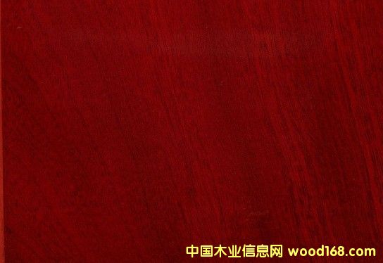 �{ɫ�l(w��i)���������(y��ng)��(y��u)�|(zh��)���޼t̴,�gӭӆُ 