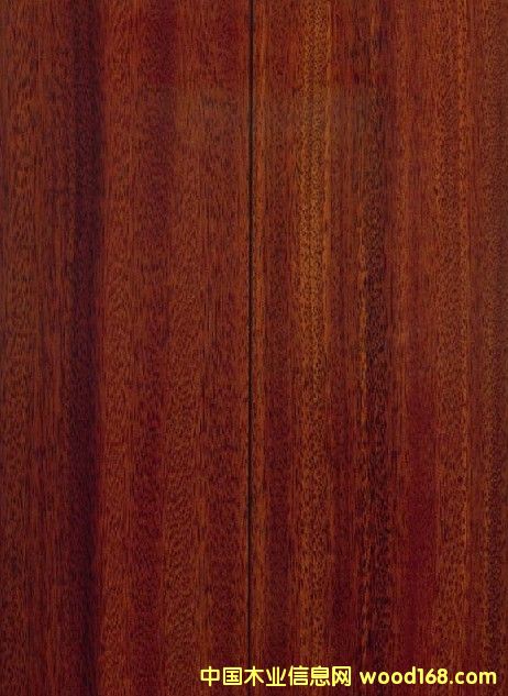 �{ɫ�l(w��i)�����������(y��u)�|��̴�ذ�