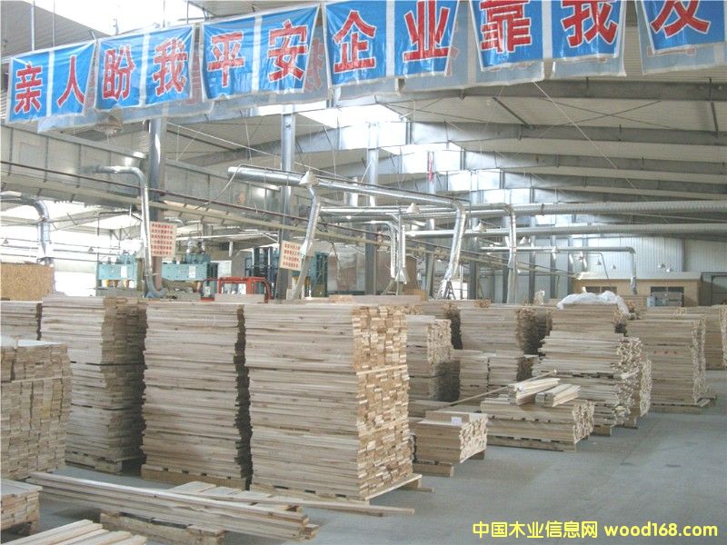 ���ɲ����ٹ��