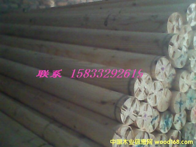 �c(di��n)���鿴������ľ���Ŵ�DƬ