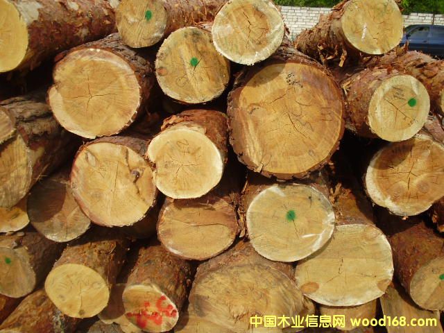 �����ɵ�Ԕ��(x��)��B