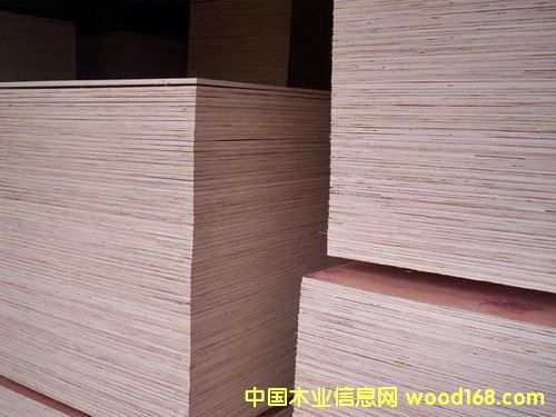 ɳ�l(f��)��