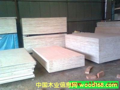 ��(x��)ľ����