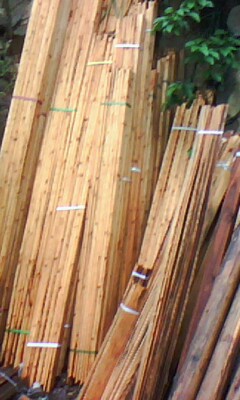 ľ����Ԕ����B