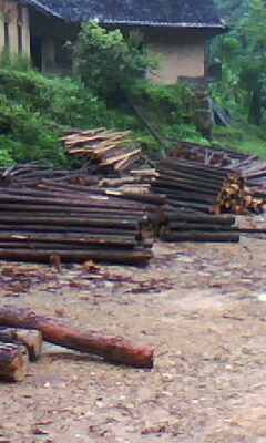 ɼľ����Ԕ����B