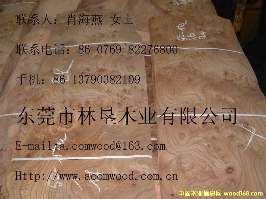 ��ľ��(sh��)���Ԕ��(x��)��B