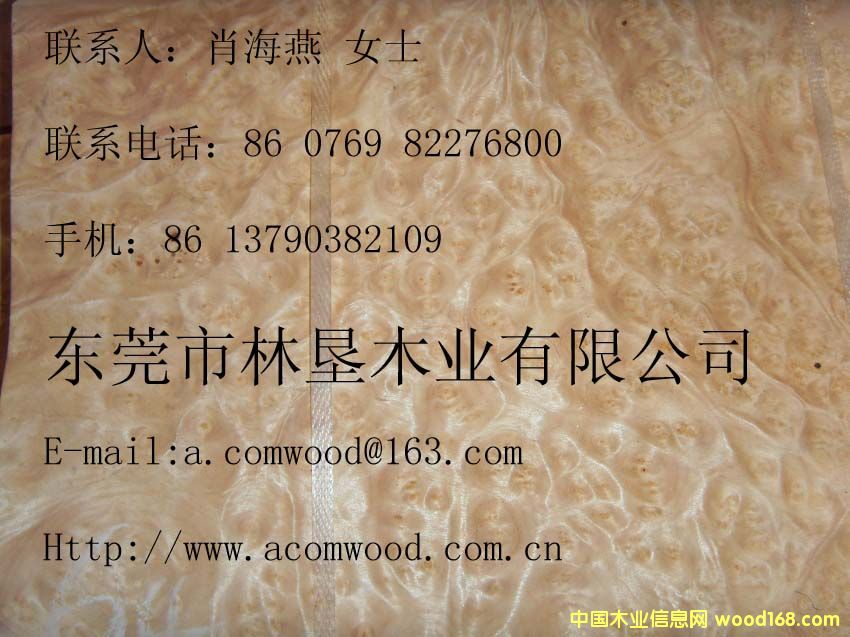 ɽ�����(sh��)���Ԕ��(x��)��B