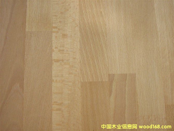 ��ľB����Beech character��Ԕ��(x��)��B