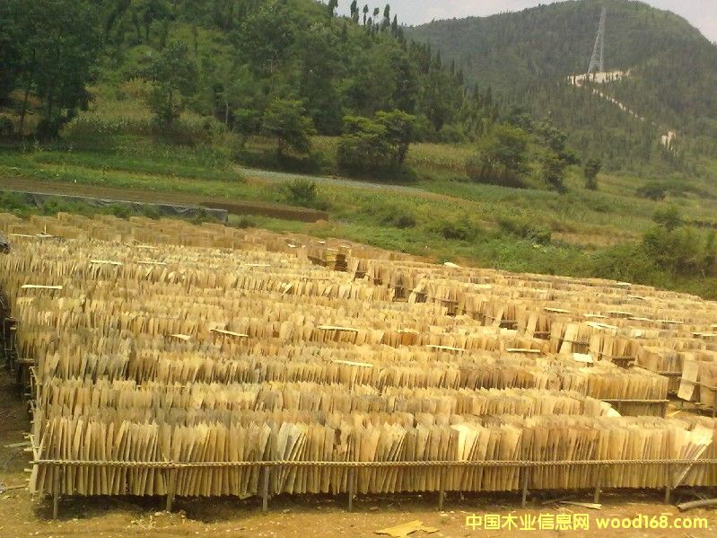 ��ľ�ΰ��Ԕ��(x��)��B