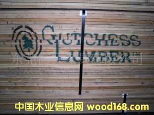 ����ľ WHITE OAK ��Ԕ��(x��)��B