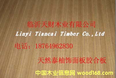 ��Ȼ̩�������z�ϰ��Ԕ��(x��)��B