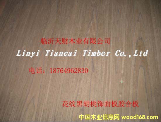 ���y�ں��������z�ϰ��Ԕ��(x��)��B