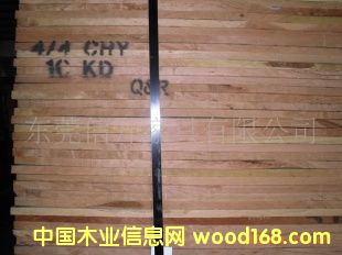 ����(gu��)����ľ��Ԕ��(x��)��B