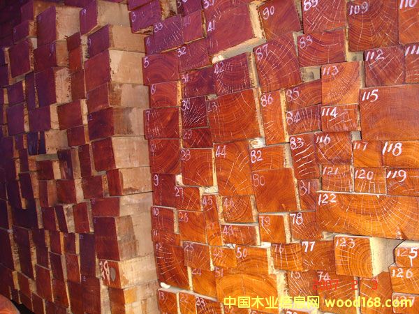 �����M(j��n)�ڸ߼�(j��)��ľ��Ԕ��(x��)��B