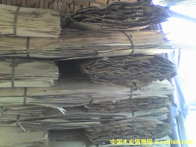 �����Ԕ��(x��)��B