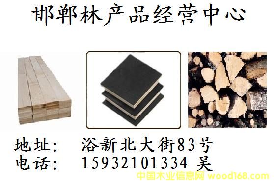 ����ľ�ĵ�Ԕ����B