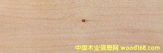 ���P Red Ald��Ԕ��(x��)��B