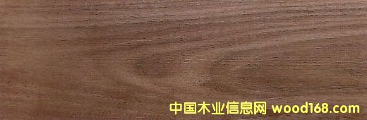 �ں��� Black Walnut