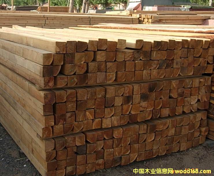 �s,ɼ����ľ��ľ�l