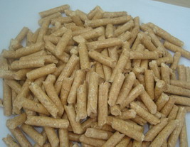 �c���鿴ľ���w���Ŵ�DƬ