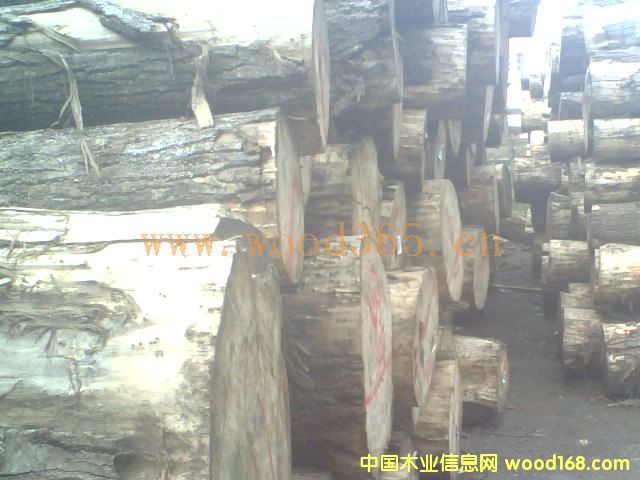 �c���鿴aaaa�Ŵ�DƬ