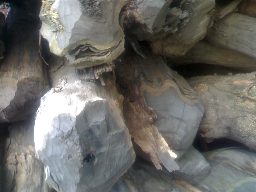 ��ľ���Ϲ�̴����Ԕ����B