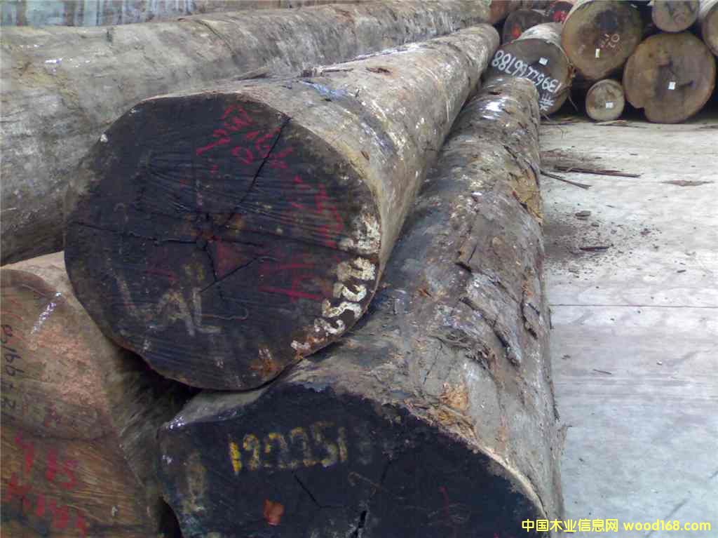 ��骵�Ԕ����B