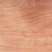 �һ���ľ��Ԕ��(x��)��B