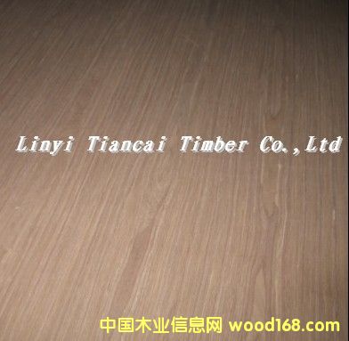 ���y��õ��