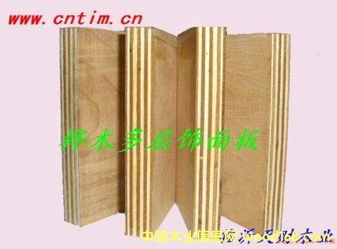 ��ľ��������