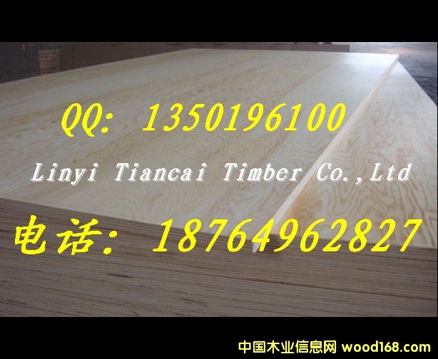 �����T(m��n)��(zhu��n)���z�ϰ����|(zh��)���ɿ����r(ji��)�����